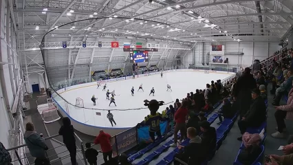 В Нижнекамске на матче «Нефтехимик» - «Ак Барс» в голову болельщице попала шайба - НТР 24