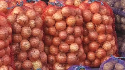 В Нижнекамске продолжаются сельскохозяйственные ярмарки - НТР 24