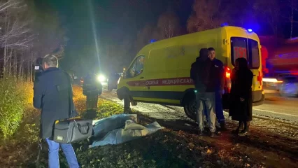 Под Нижнекамском при столкновении авто с лосем погибли мужчина и ребенок - НТР 24