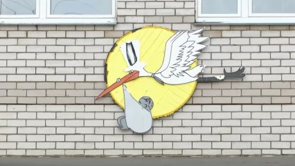 За 16 лет в Нижнекамске количество абортов снизилось в 5 раз - НТР 24