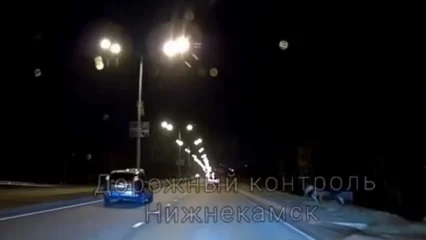 На Соболековской трассе в Нижнекамске вновь заметили лося - НТР 24