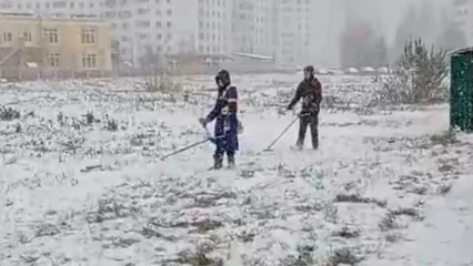 Нижнекамцам объяснили, почему в городе косят траву после того, как выпал снег - НТР 24