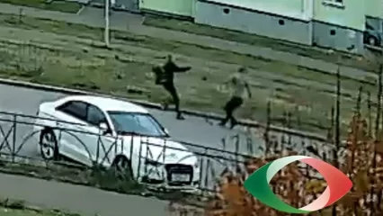 В Нижнекамске в ходе перепалки курьер распылил газовый баллончик в водителя - НТР 24