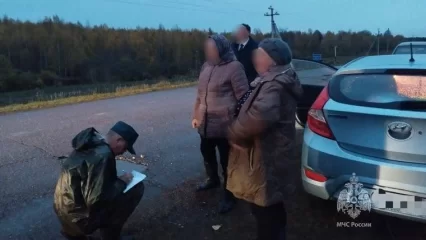 В Нурлатском районе спасли трёх человек, заблудившихся в лесу - НТР 24