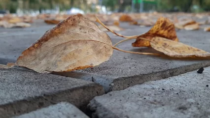 В четверг в Татарстан придут дожди и сильный ветер