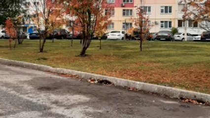 В Нижнекамске «ГАЗель» отправилась на спецстоянку, из-за того, что её не убрали - НТР 24