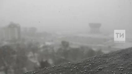 В Татарстане в понедельник ожидается мокрый снег и сильный ветер - НТР 24