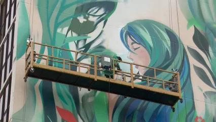 В Нижнекамске на фасадах двух многоэтажек появятся новые муралы - НТР 24