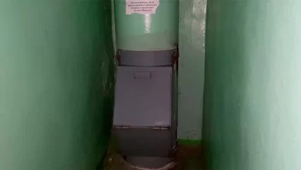 Жители дома в Нижнекамске мучаются от запаха мусора около пяти лет - НТР 24