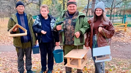 Жители Нижнекамска начали устанавливать бельчатники в городе - НТР 24