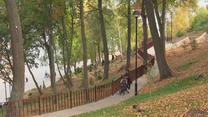 Нижнекамке выразили благодарность за найденного дедушку с потерей памяти - НТР 24