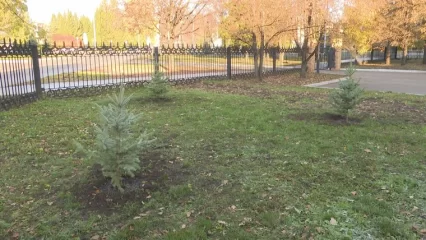 В центрально-европейской части России прогнозируется осенний шторм и до +16 - НТР 24