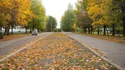 Рамиль Муллин поделился планами по благоустройству Нижнекамска на 2024 год - НТР 24