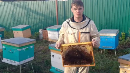 Фельдшер из Нижнекамского района развел пасеку из 30 ульев - НТР 24