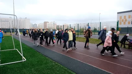 Большинство опрошенных НТР 24 ходят пешком ежедневно - НТР 24