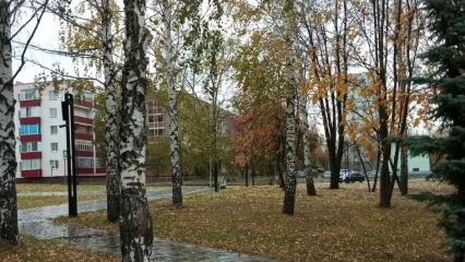 В Татарстане в пятницу прогнозируется облачная погода с дождём и мокрым снегом - НТР 24