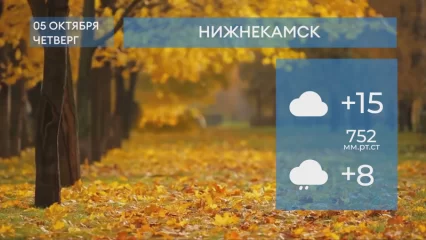 Прогноз погоды в Нижнекамске на 5-е октября 2023 года