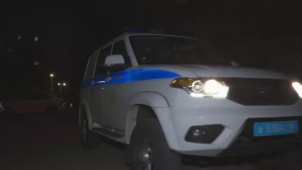 В Нижнекамске задержали двух алиментщиков, находившихся в федеральном розыске - НТР 24