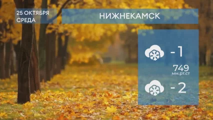 Прогноз погоды в Нижнекамске на 25-е октября 2023 года