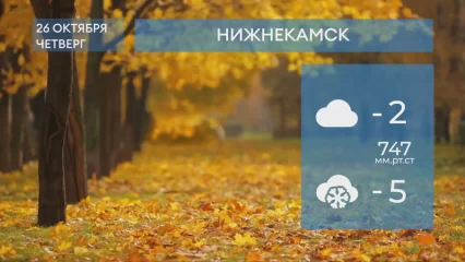 Прогноз погоды в Нижнекамске на 26-е октября 2023 года