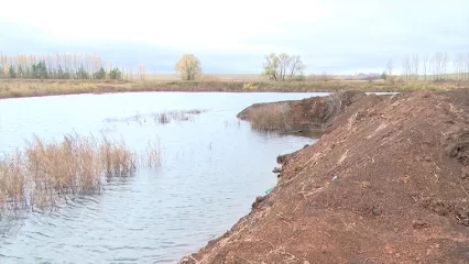 В Нижнекамском районе восстановили пруд стратегического значения
