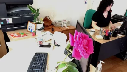 Более половины татарстанцев хотели бы найти подработку - НТР 24