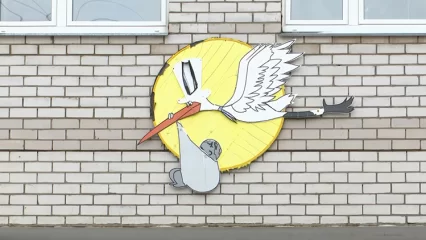 За неделю в Нижнекамске родились 44 малыша - НТР 24