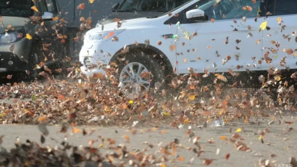 В Татарстане в четверг прогнозируется сильный ветер до 24 м/с - НТР 24