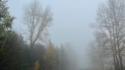 В Татарстане синоптики прогнозируют резкие скачки давления - НТР 24