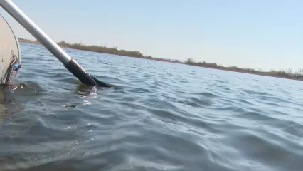 На части Нижнекамского водохранилища могут установить границы для рыбоводства - НТР 24