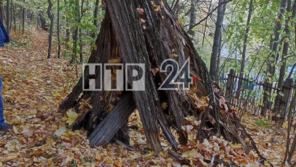 Нижнекамцы бурно отреагировали на объявление о продаже шалаша за 500 тыс. рублей - НТР 24