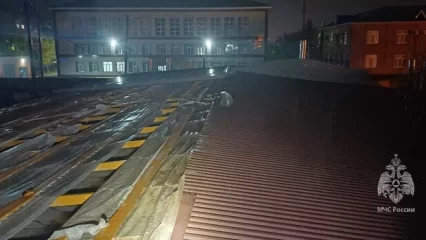 В Татарстане из-за сильного ветра упало восемь деревьев и сорвало крышу - НТР 24