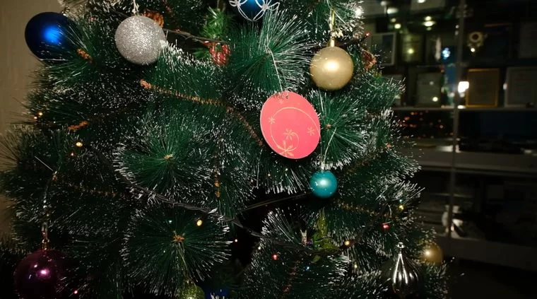 Нижнекамцы принесли первые новогодние подарки для акции «Стань Дедом Морозом»