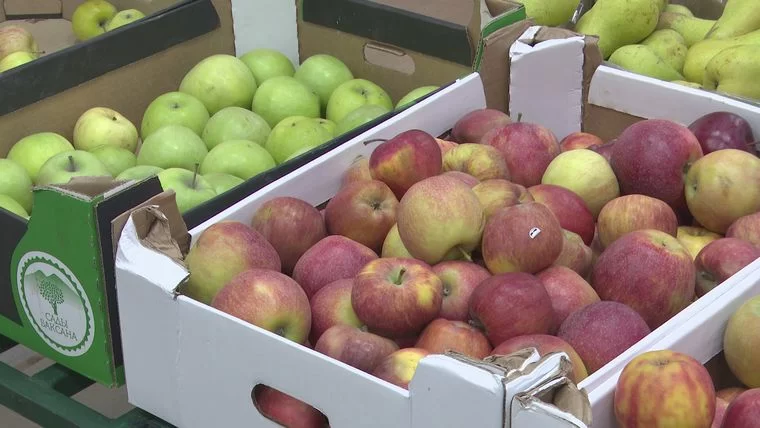 В Нижнекамске зафиксирована самая высокая в РТ цена на яблоки