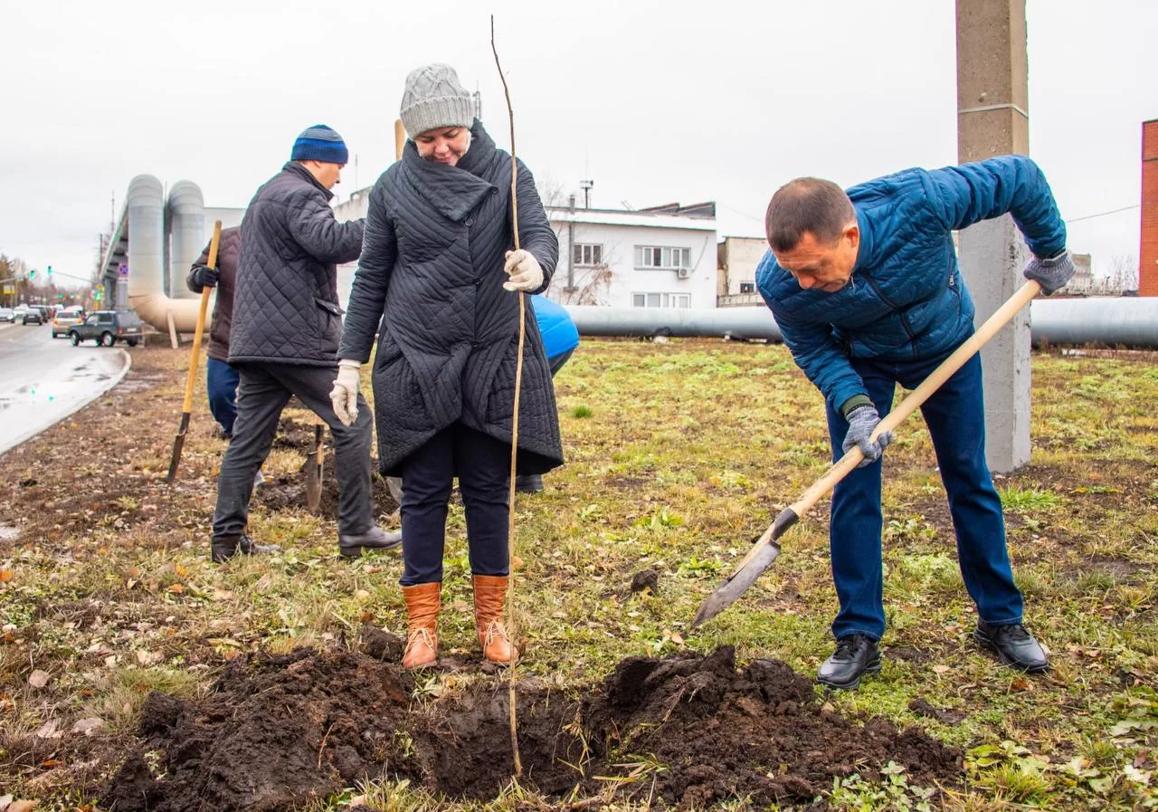 В Нижнекамске на ул. Ахтубинской высадили более 600 тополей