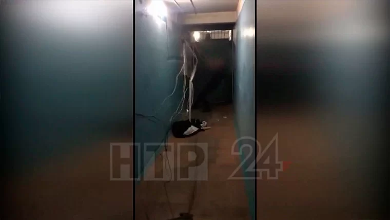 Нижнекамцы сняли на видео молодого человека, устроившего погром в подъезде