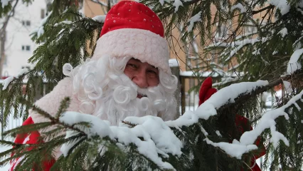 В день рождения Деда Мороза нижнекамцам напомнили, как ему написать письмо - НТР 24