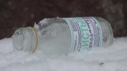 В Нижнекамске выросла заболеваемость алкогольными психозами - НТР 24