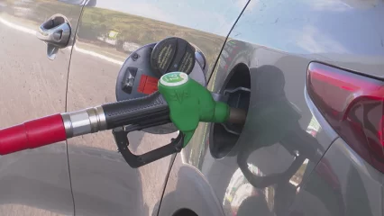 В Татарстане приостановился рост цен на бензин