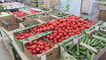 Фрукты и овощи в Татарстане подорожали на 31%