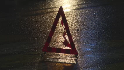 В Татарстане на трассе насмерть сбили трех кабанов - НТР 24