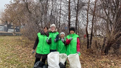 В Нижнекамске волонтеры привели в порядок территорию у железнодорожного переезда - НТР 24