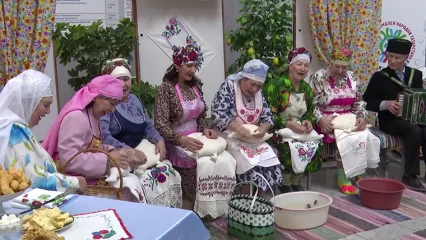 Нижнекамцам показали традиции татарского народа на празднике «Гусиное перо»