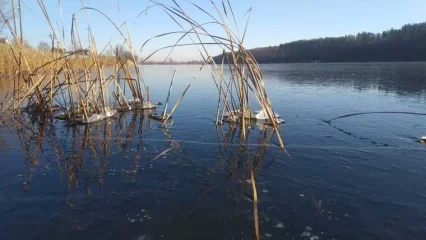 В Татарстане спасли мать с двумя детьми, которые провалились под лёд