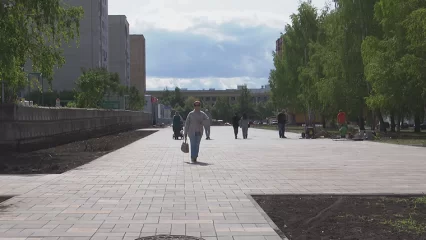 2024 год может стать самым теплым в истории - НТР 24