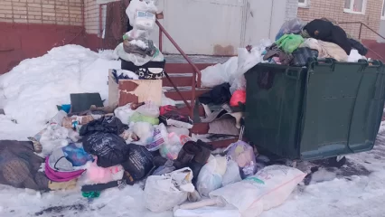 Нижнекамцы массово публикуют фото переполненных контейнеров для мусора