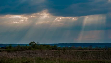 Нижнекамцам рассказали, как бороться с тревожностью - НТР 24