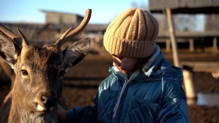 Нижнекамские волонтеры при поддержке мэра свозили детей и их мам на оленью ферму - НТР 24