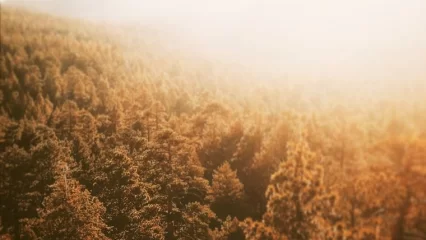 В России побиты 5 температурных рекордов тепла - НТР 24