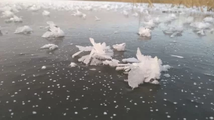 Синоптики назвали дату начала метеорологической зимы в Центральной России - НТР 24